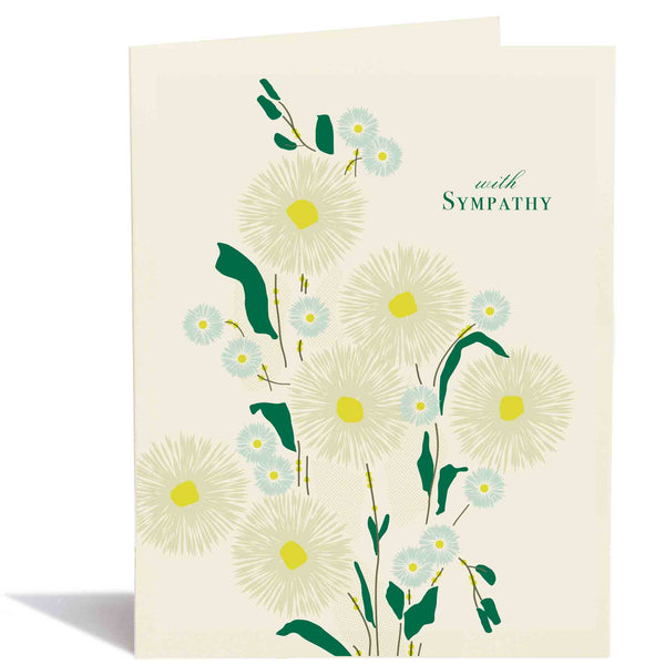 Sympathy Aster