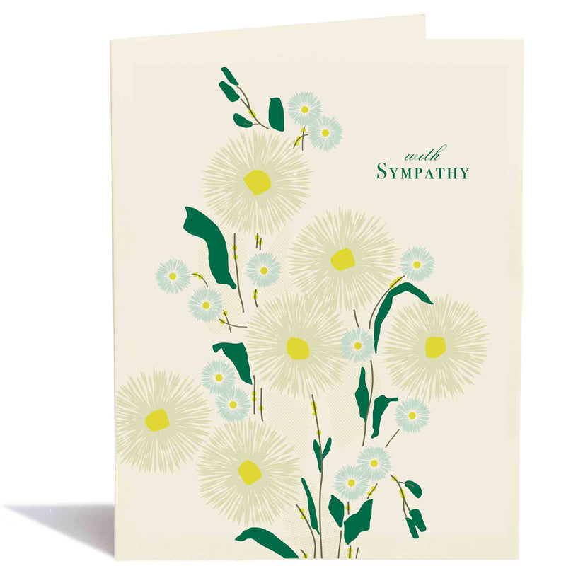 Sympathy Aster