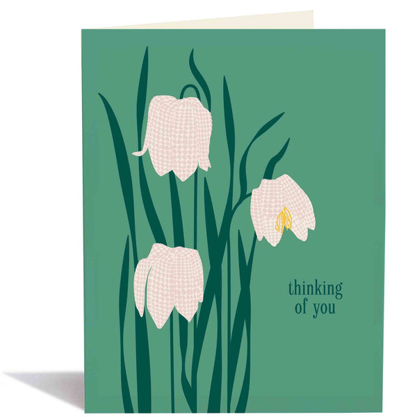 Sympathy Fritillaria