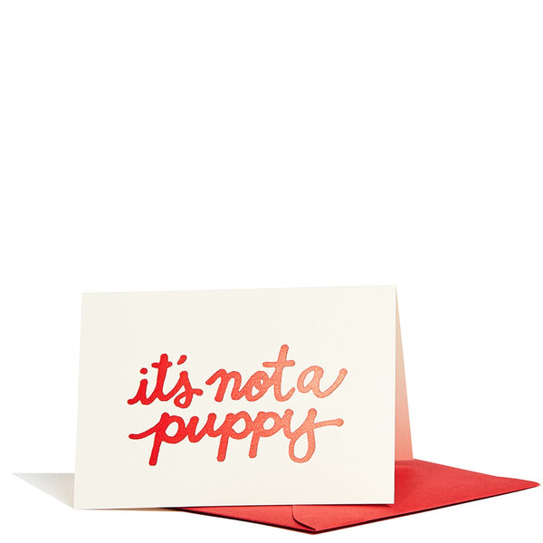 It's Not a Puppy Enclosure Card