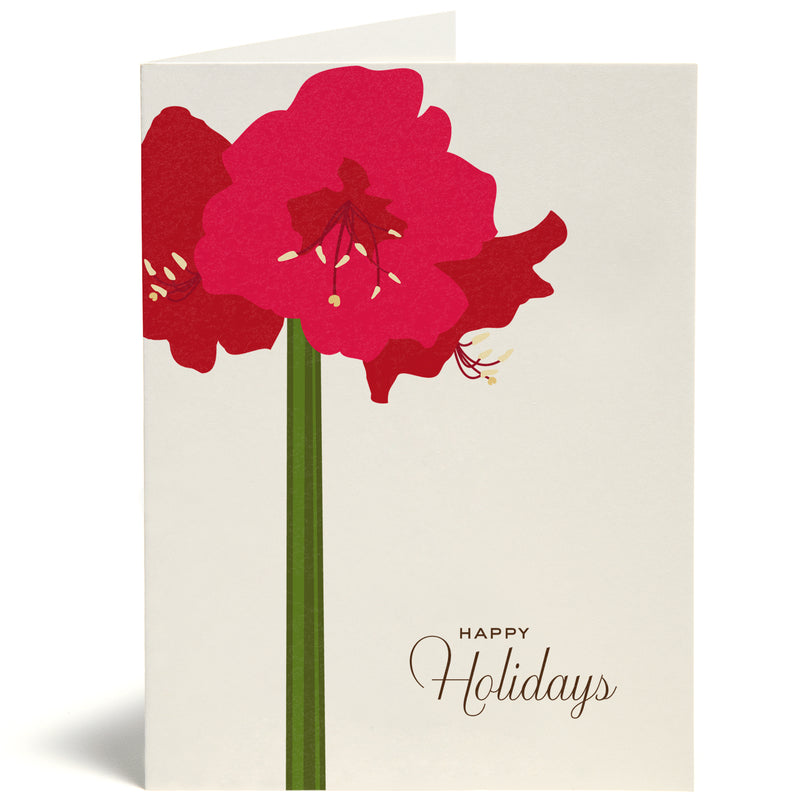 Amaryllis Card