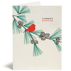 Pine Cones Card