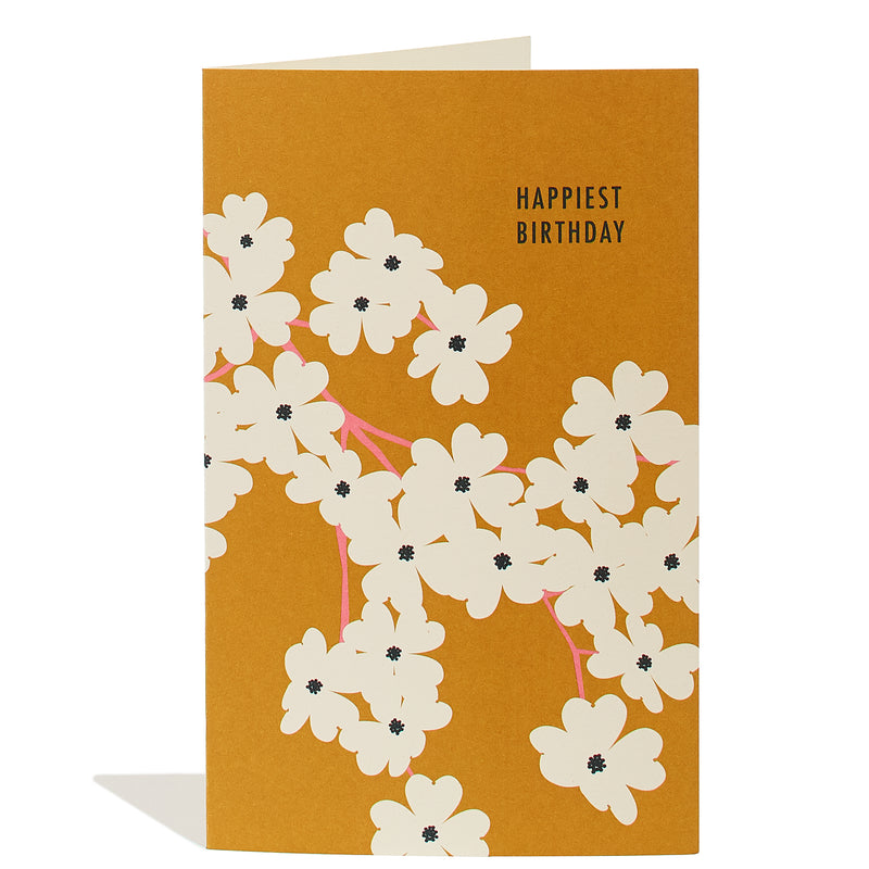 Birthday Dogwood