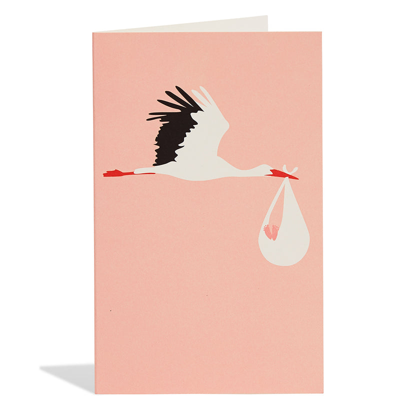 Baby Stork