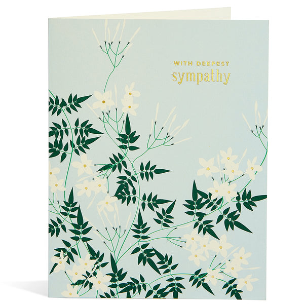 Sympathy Jasmine
