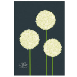 Allium Art Print