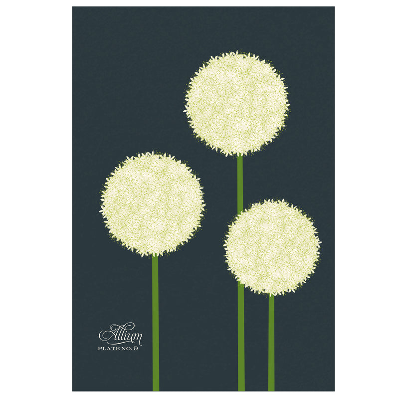 Allium Art Print