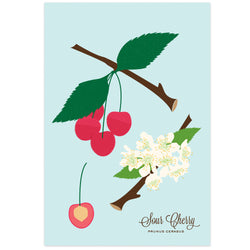 Sour Cherry Art Print