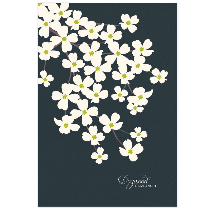 Dogwood Art Print