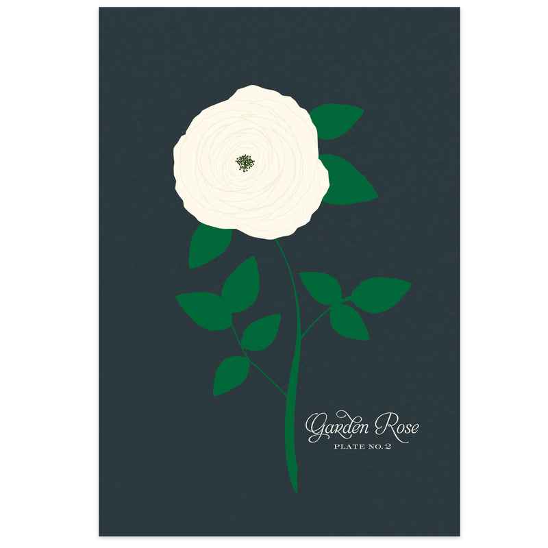 Garden Roses Art Print