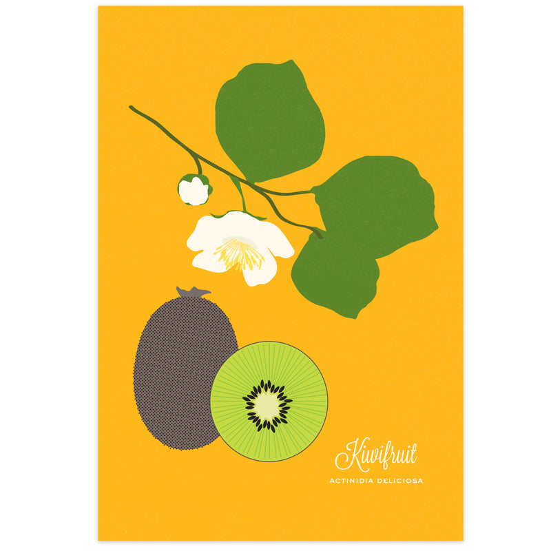 Kiwi Art Print