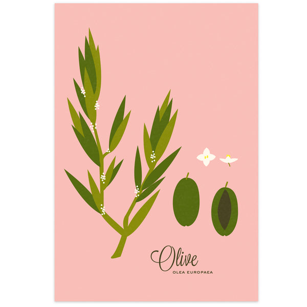 Olive Art Print