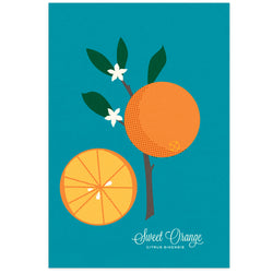 Sweet Orange Art Print