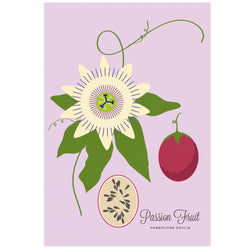 Passion Fruit Art Print