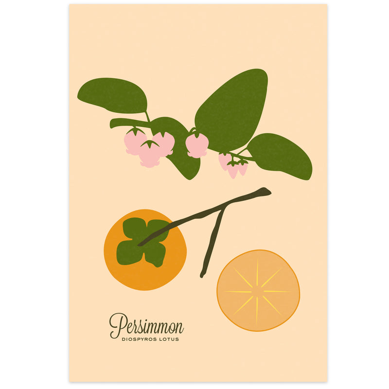 Persimmon Art Print