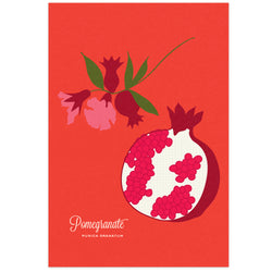 Pomegranate Art Print