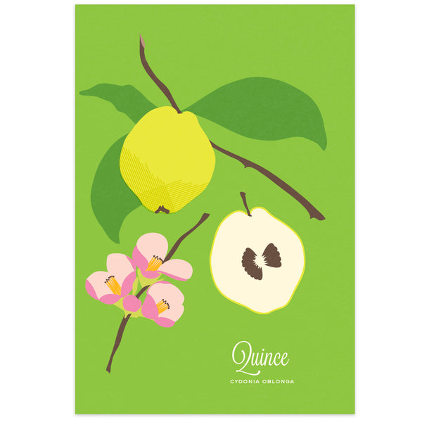 Quince Art Print