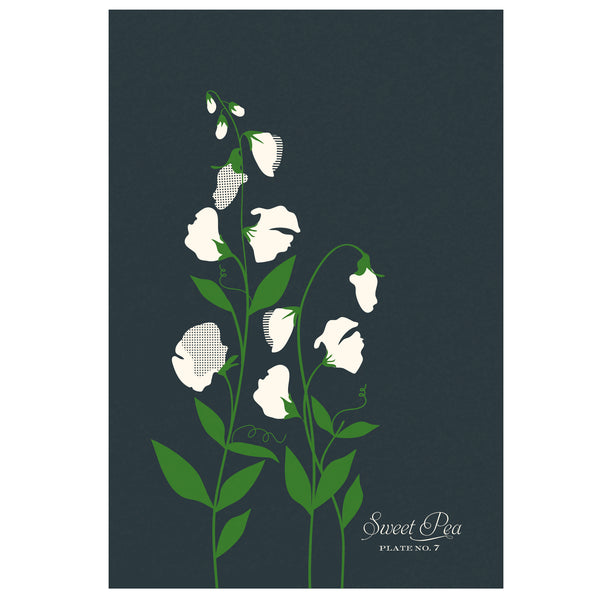 Sweet Peas Art Print