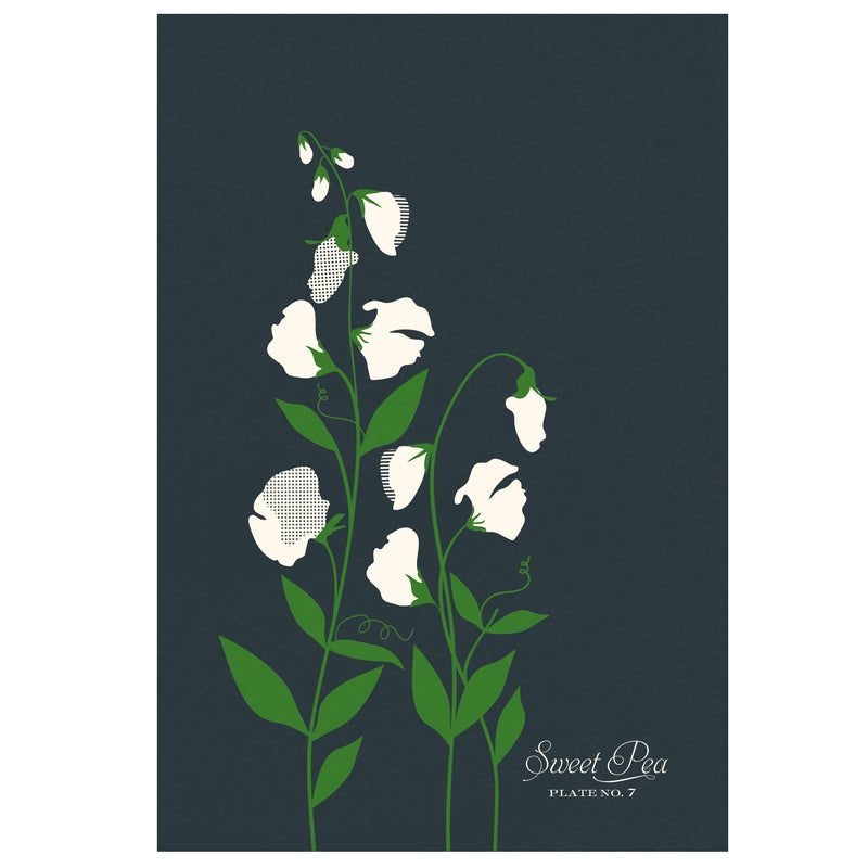 Sweet Peas Art Print